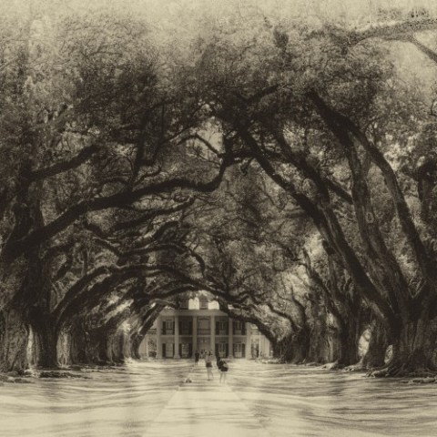 an old photo of a tree