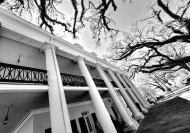 a tree in front of a building