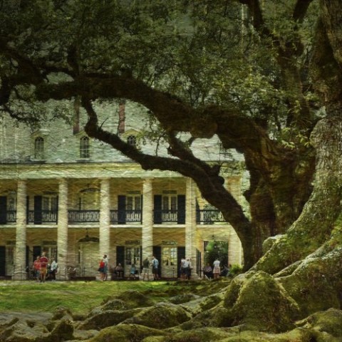 a tree in front of a house