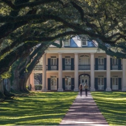 a tree in front of a building