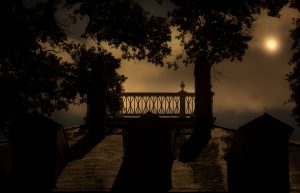 a tree in a dark room