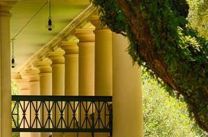 a close up of a bridge