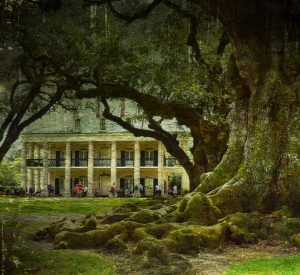 a large tree in front of a house