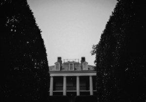 the tower of the city