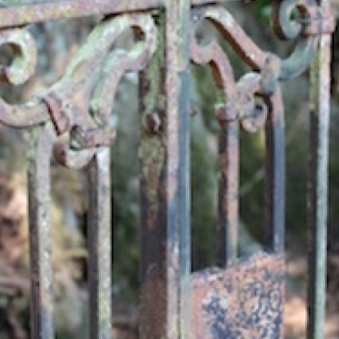 a bird sitting on top of a wooden fence