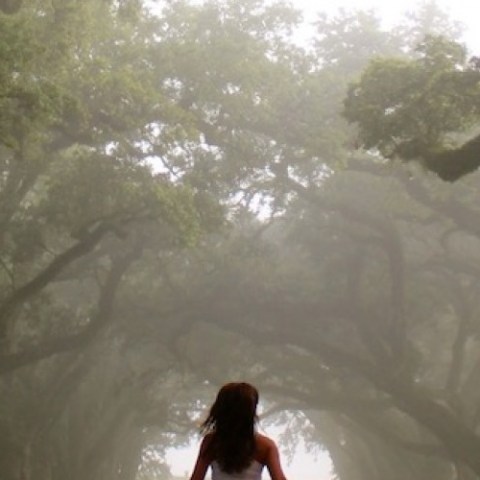 a person riding a wave on top of a tree