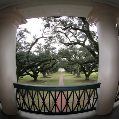 a room filled with furniture and vase of flowers on a table