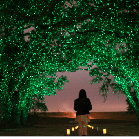 a person that is standing in the dark