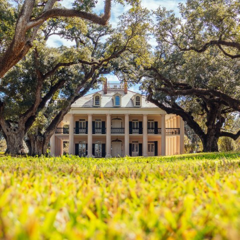 Historic mansion framed by large oak trees with sprawling branches on a sunny day.